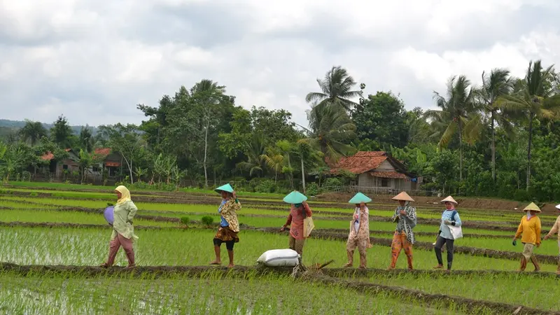 Aktivitas di Desa Amaiteng Mulia 2